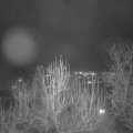 Webcam_20241222-203000