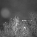 Webcam_20241222-214500