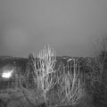Webcam_20241223-074500