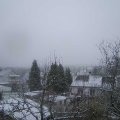 Webcam_20241223-101500