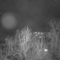 Webcam_20241223-174500