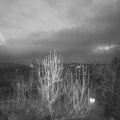 Webcam_20241224-073000