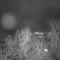 Webcam_20241224-193000