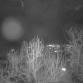 Webcam_20241224-194500