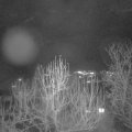 Webcam_20241224-210000