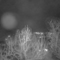 Webcam_20241224-211500