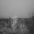 Webcam_20241225-074500
