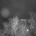 Webcam_20241225-174500