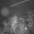 Webcam_20241225-194500