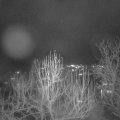 Webcam_20241225-204500