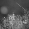 Webcam_20241225-210000
