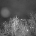 Webcam_20241225-214500