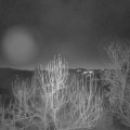 Webcam_20241228-070000