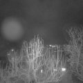 Webcam_20241228-201500