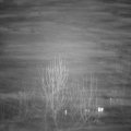 Webcam_20241228-220000