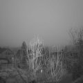 Webcam_20241229-074500
