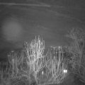 Webcam_20241229-190000