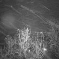 Webcam_20241229-193000