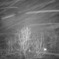 Webcam_20241229-201500