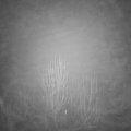 Webcam_20241230-063000