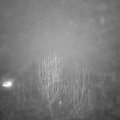 Webcam_20241230-074500