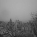 Webcam_20241230-080000