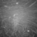Webcam_20241230-171500