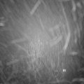 Webcam_20241230-181500