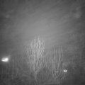 Webcam_20241230-184500