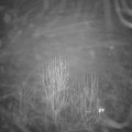 Webcam_20241230-190000