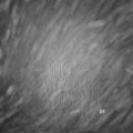 Webcam_20241230-194500