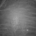 Webcam_20241230-204500