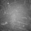 Webcam_20241230-210000
