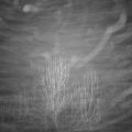 Webcam_20241231-054500