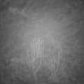 Webcam_20241231-060000