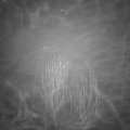 Webcam_20241231-063000