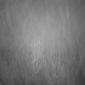 Webcam_20241231-074500