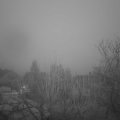 Webcam_20241231-080000