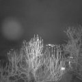 Webcam_20241231-201717