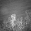 Webcam_20250101-061500