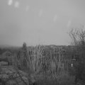 Webcam_20250101-080000