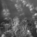 Webcam_20250101-171500
