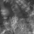 Webcam_20250101-183000