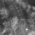 Webcam_20250101-193000