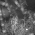 Webcam_20250101-194500