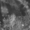 Webcam_20250101-201500