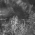 Webcam_20250101-204500