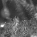 Webcam_20250101-210000