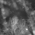 Webcam_20250101-211500