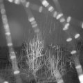 Webcam_20250102-074500